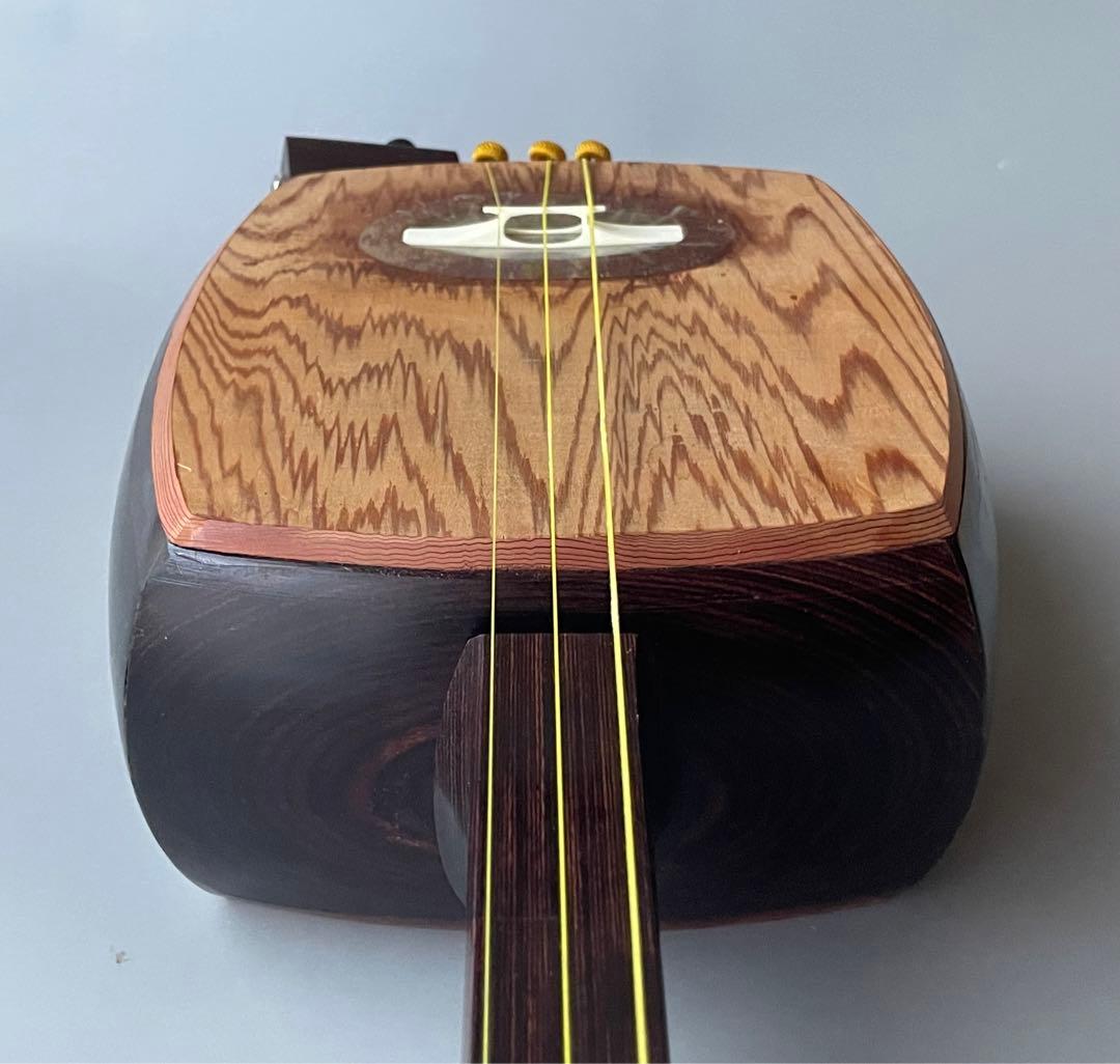 レア楽器　「サバミセン」　エレクトリック対応、撥・ハードケース付き