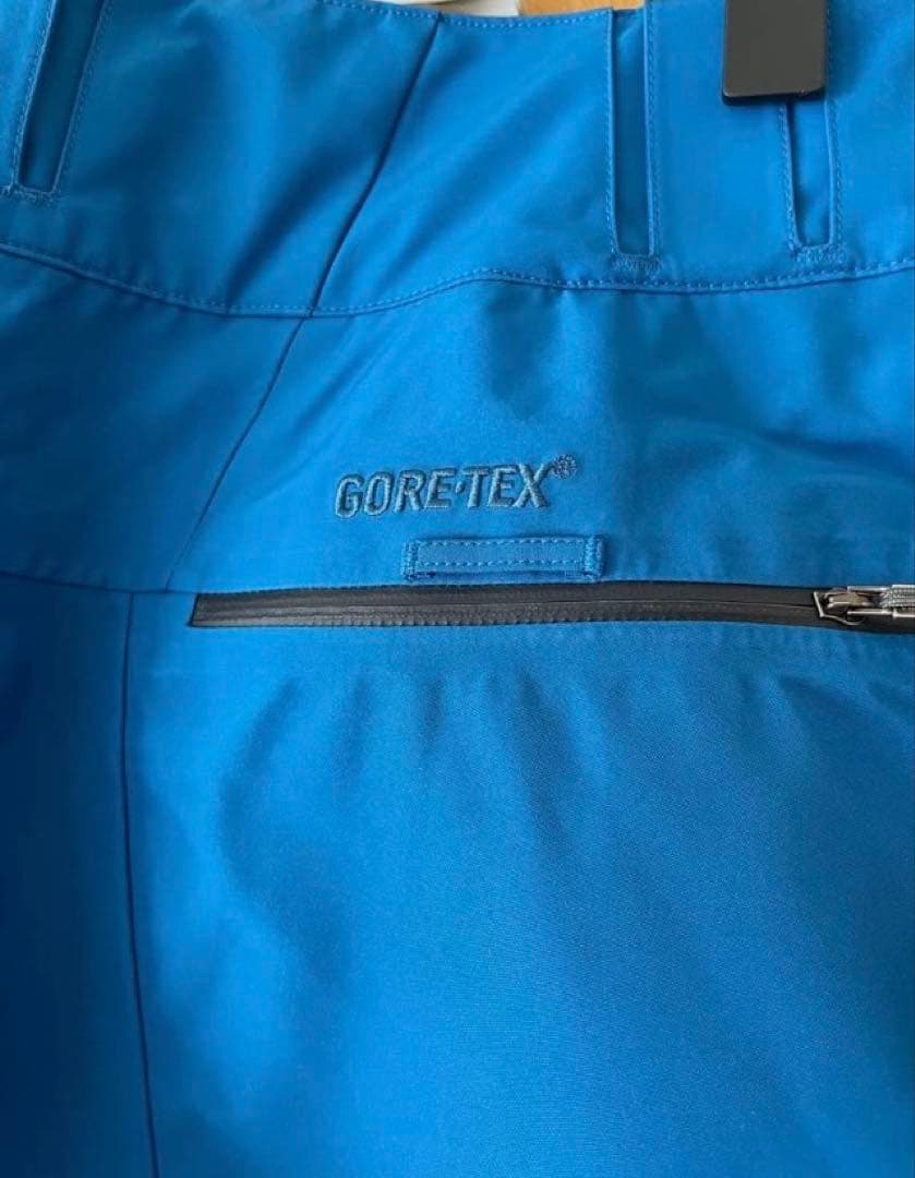 スノーボード patagonia POWDER BOWL PANTS GORE-TEX