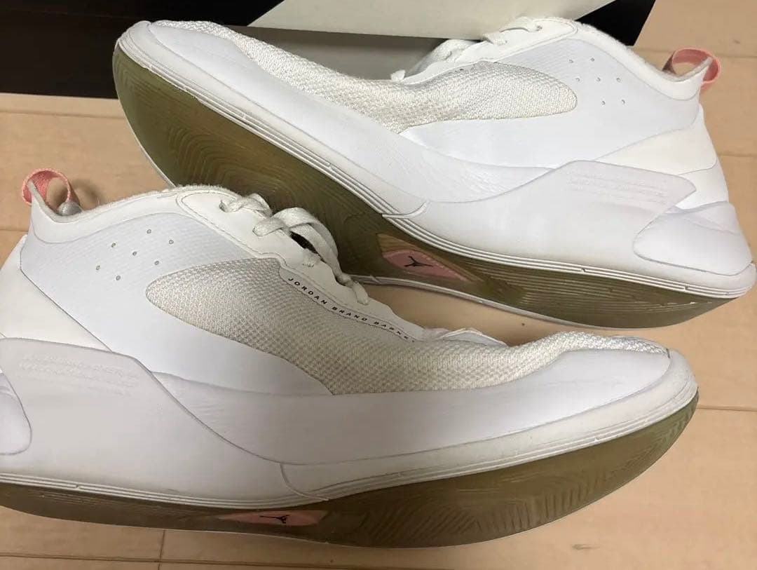 NIKE JORDAN LUKA1PF 28.5 シューズクリーニング済み