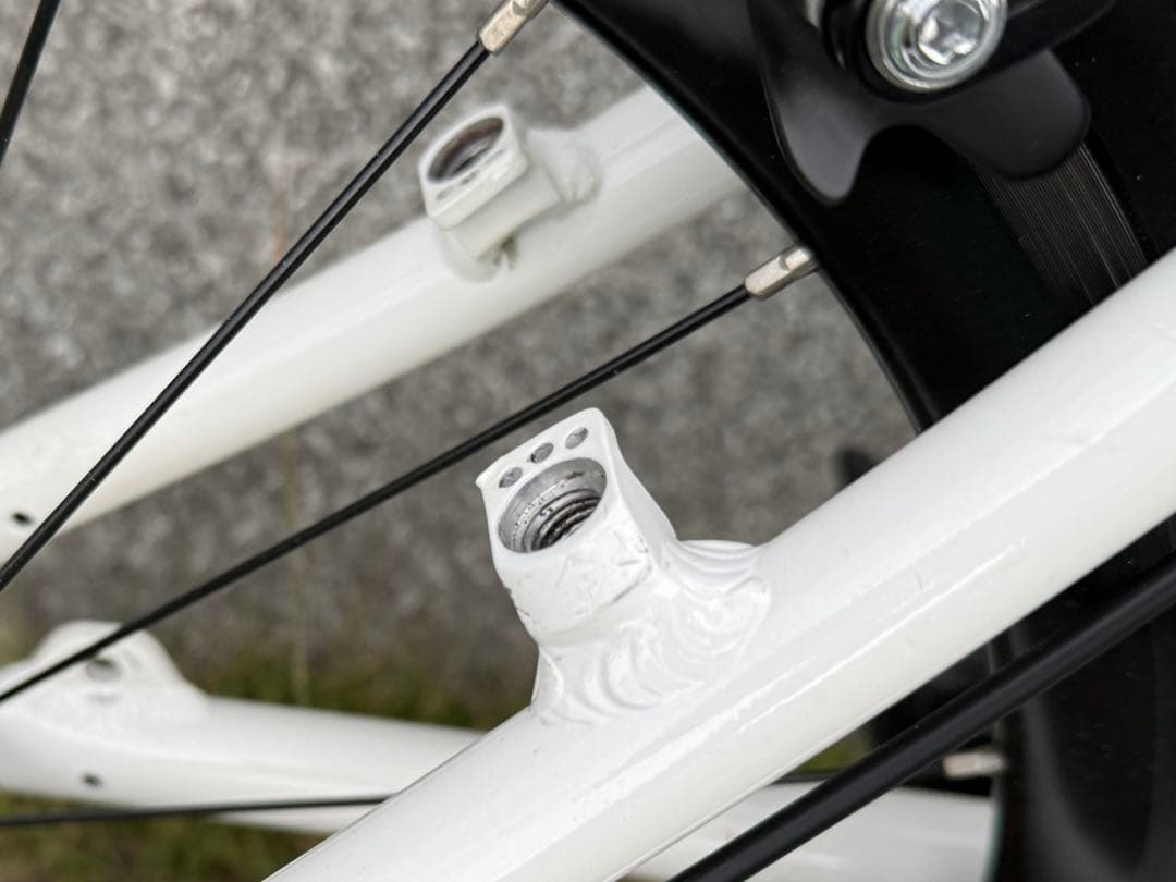 DAHON DASH P18 カスタム車 / ダホン ダッシュ （451化）