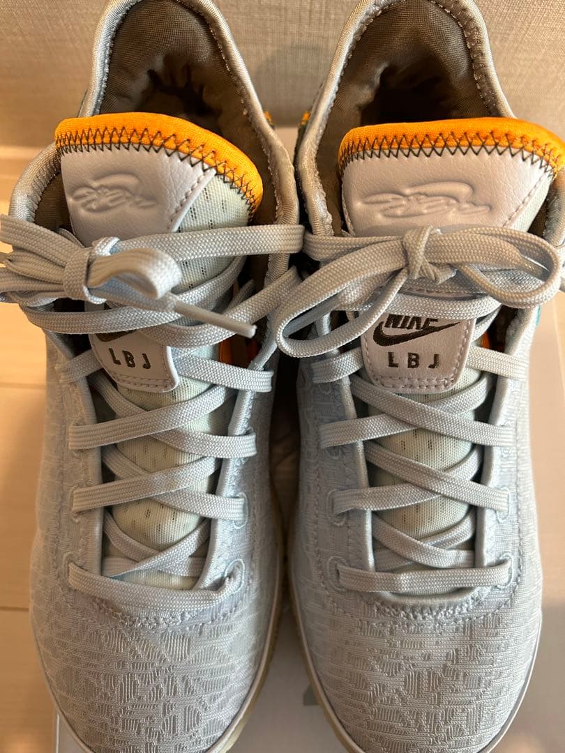 シューズ(男性用) Nike ZOOM LEBRON NXXT GEN EP