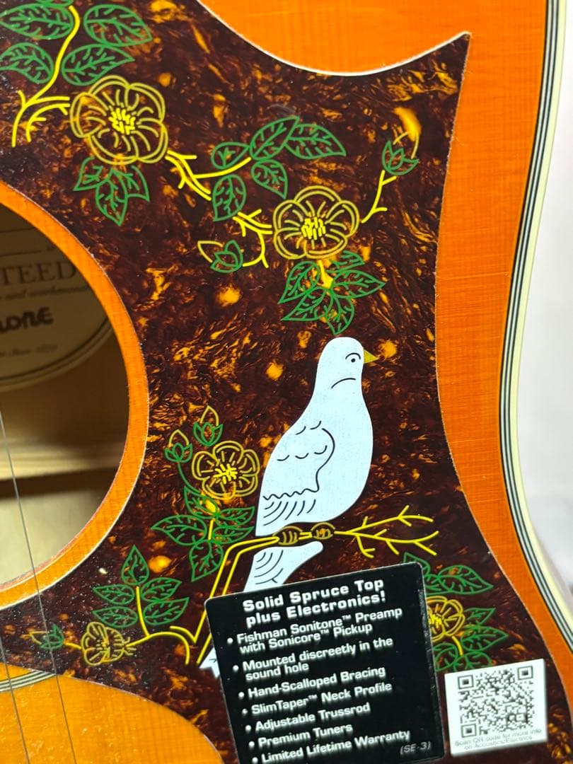 Epiphone Dove Pro エレアコ 即発送　美品