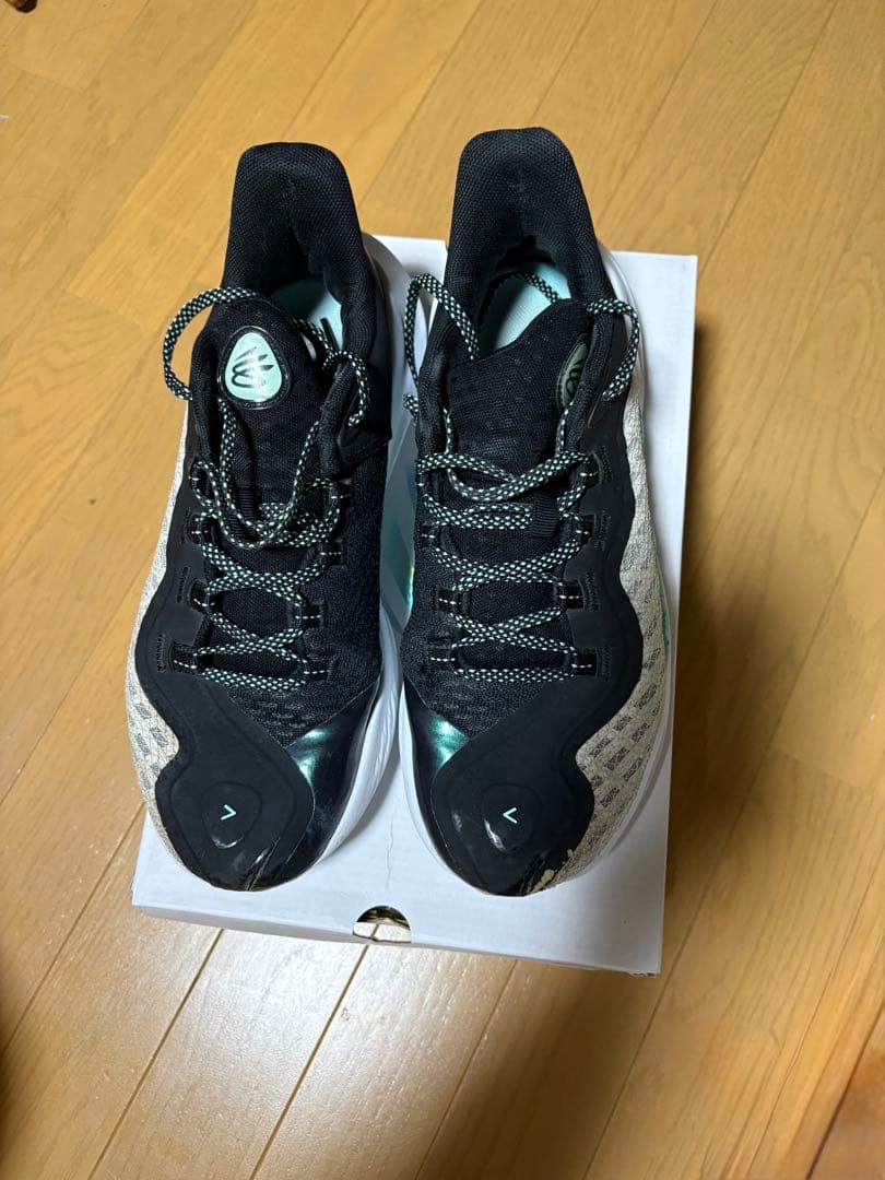 シューズ(男性用) CURRY11