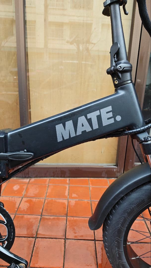 MATE X 250 ２０２５年式