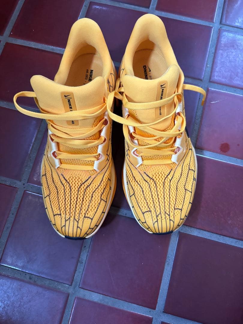 NIKE ナイキ　ペガサス41 メンズ25.5