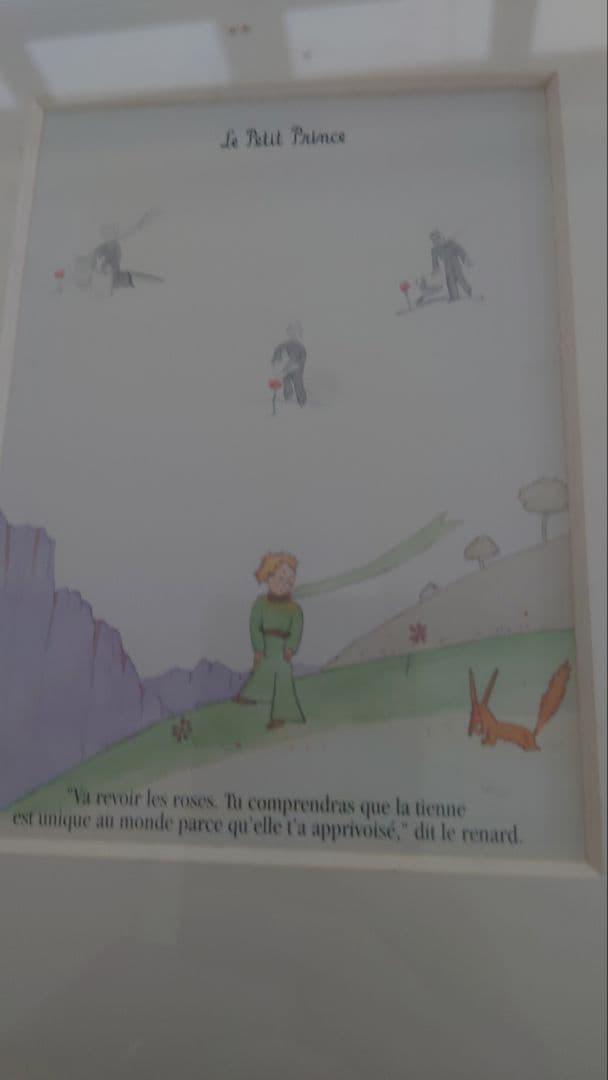 星の王子さまLe Petit Prince