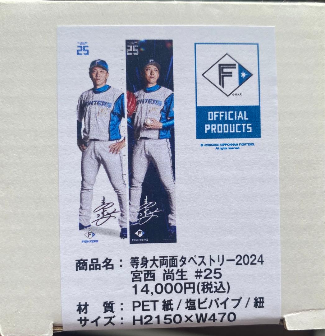 宮西尚生　等身大両面タペストリー2024