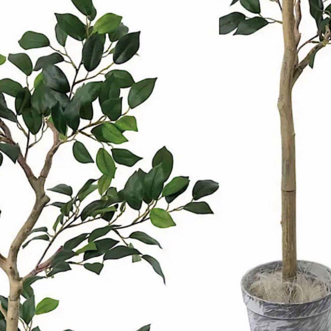 光触媒　人工観葉植物　ウォールグリーン　フェイクグリーン　ジョイントベンジャミン
