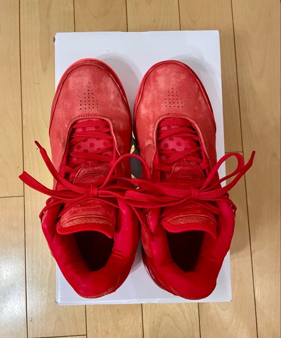 NIKE、レブロン NXXT GEN AMPD EP、27.5センチ