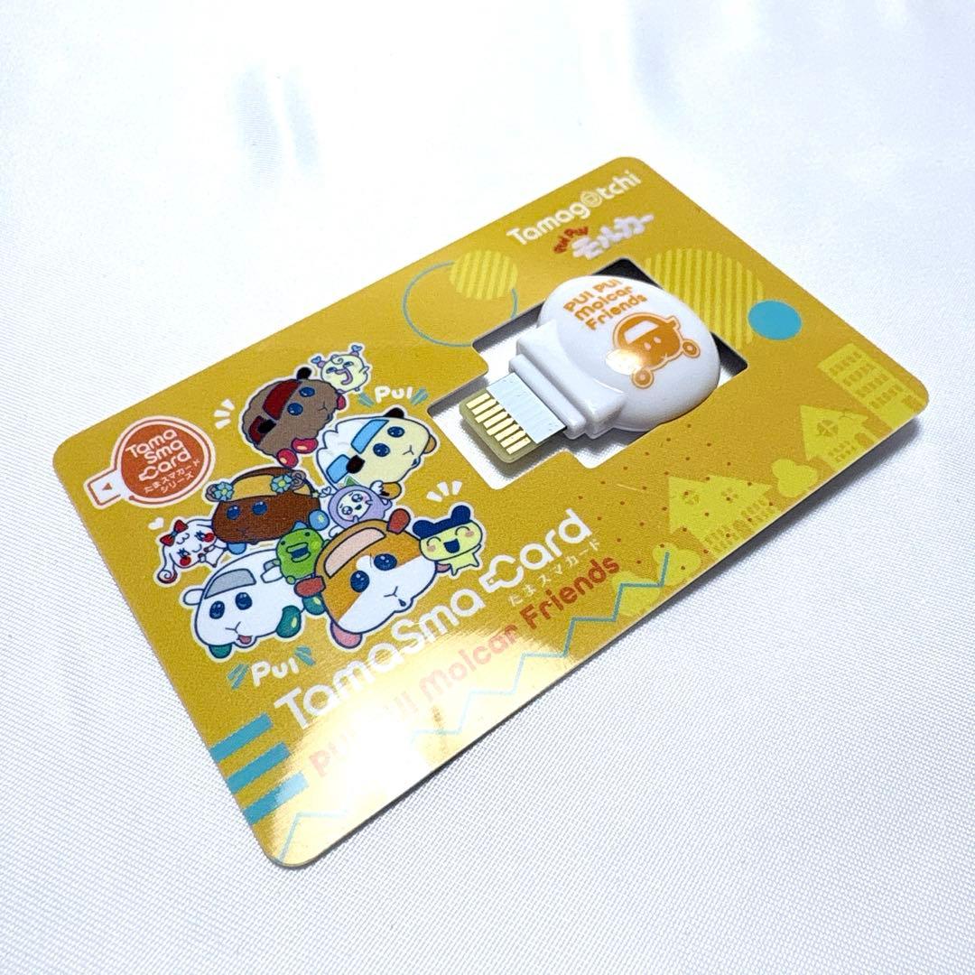 BANDAI たまスマカード モルカーフレンズ PUI PUI モルカー 未使用