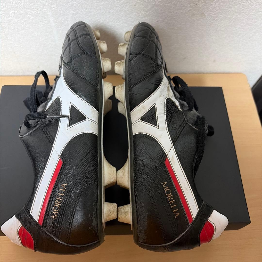 クロスステッチ モレリア2 JAPAN