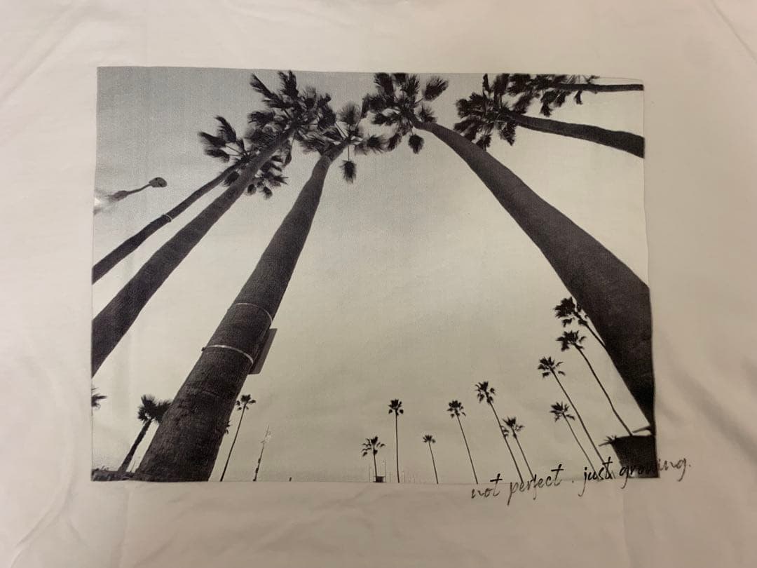 Naptime. フォトプリントBIG T-SHIRTS WHITE【F】