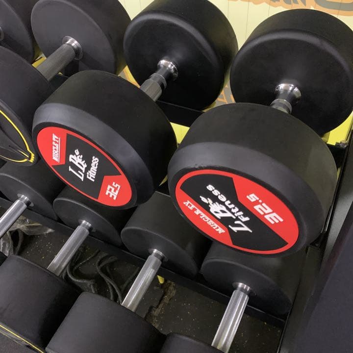 ラバーダンベル22.5kg 2個