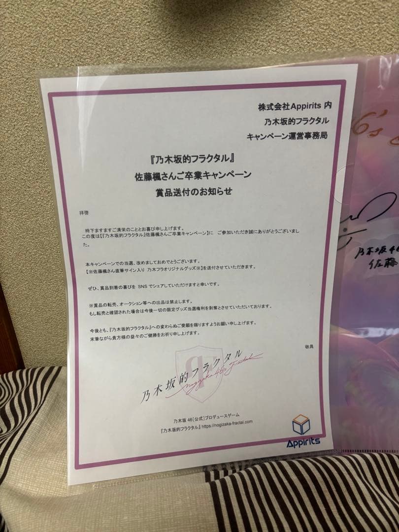 乃木坂46 佐藤楓 クリアファイル