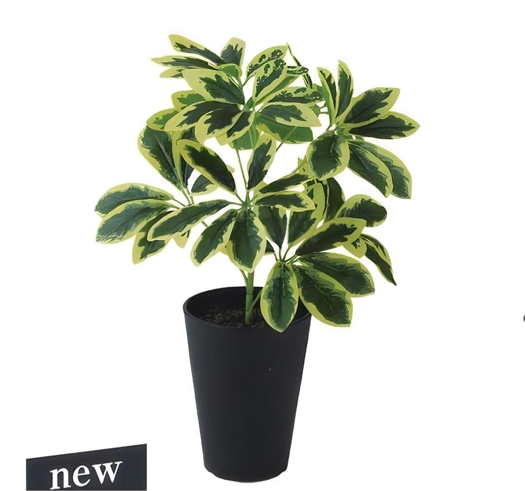 光触媒　人工観葉植物　ウォールグリーン　フェイクグリーン　イエローカポックS