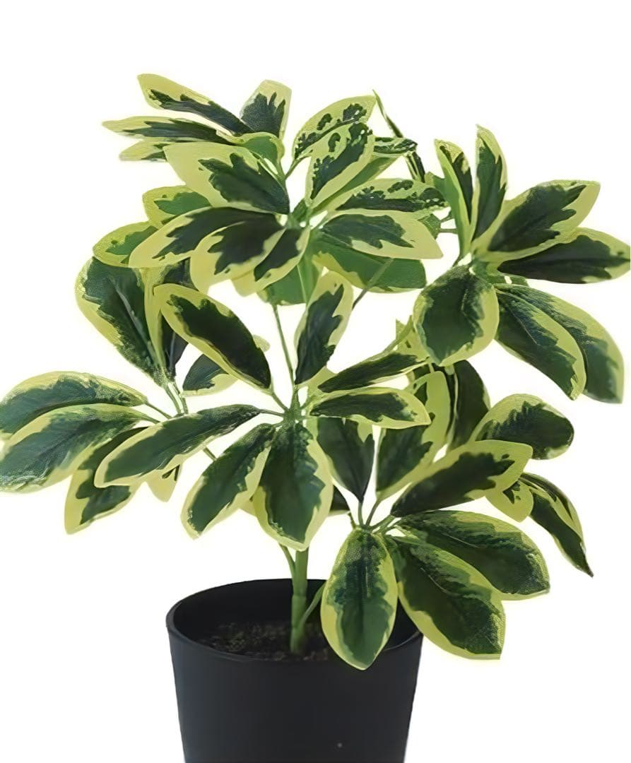光触媒　人工観葉植物　ウォールグリーン　フェイクグリーン　イエローカポックS