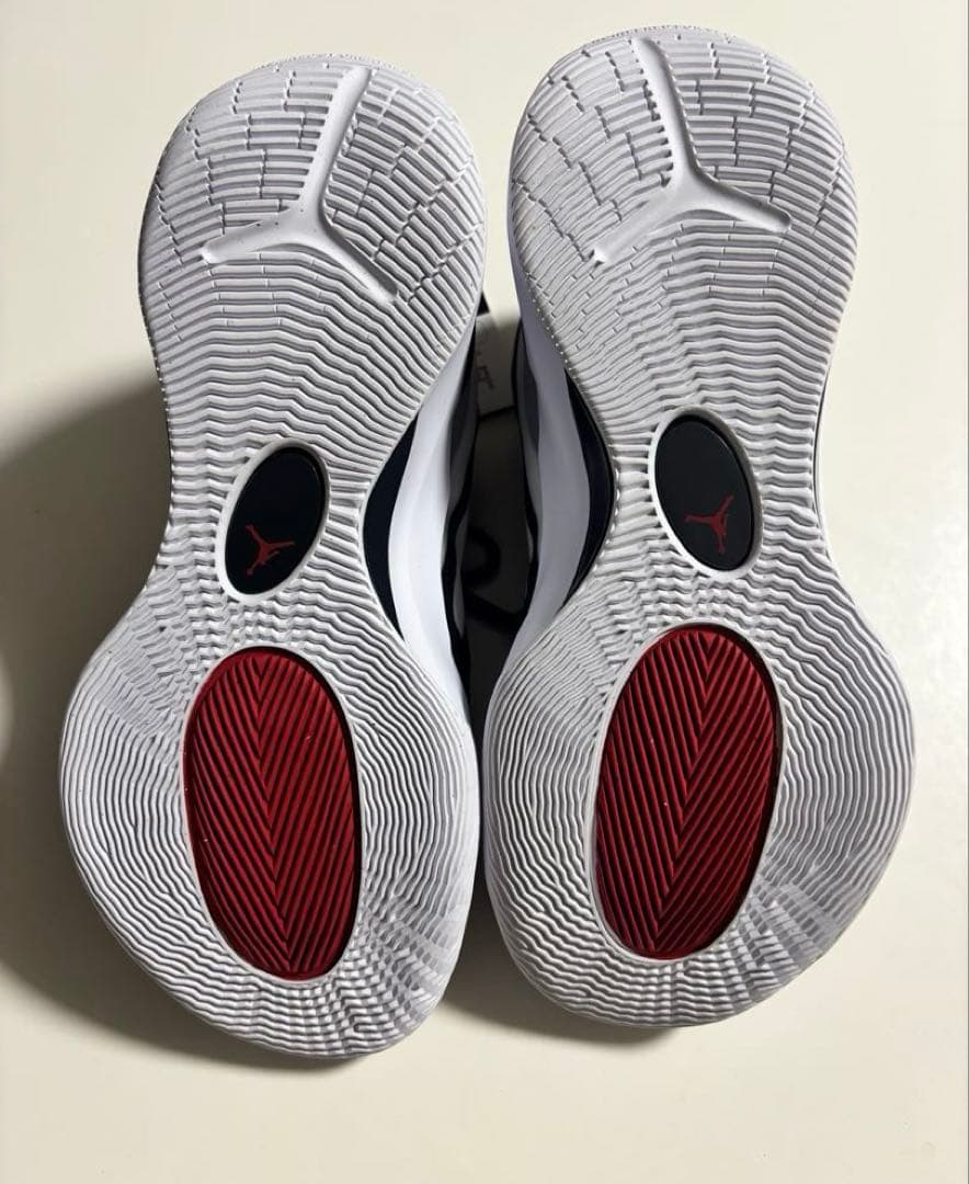 【NIKE】 ジョーダンズームセパレート　24.5㎝