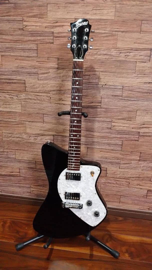 Burny バーニーシャチ FERNANDES