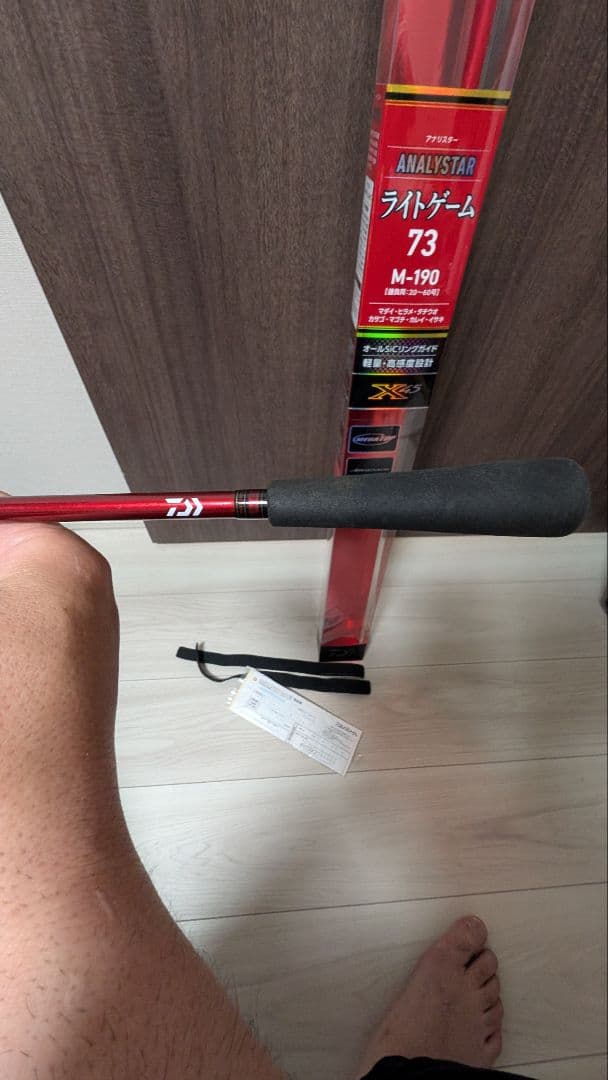 DAIWA ANALYSTAR ライトゲーム 73 M-190