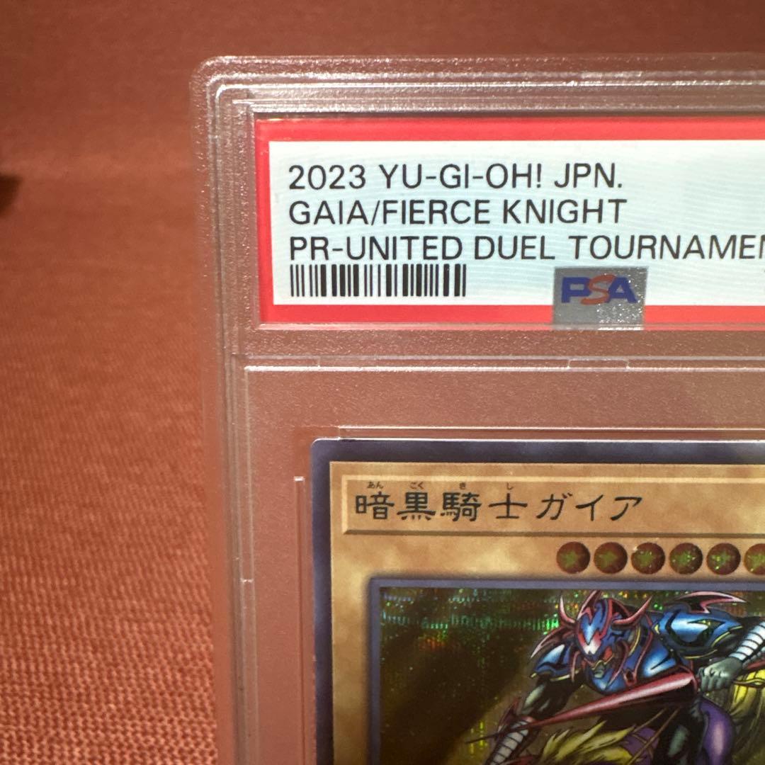 暗黒騎士ガイア　ブルシク　PSA10