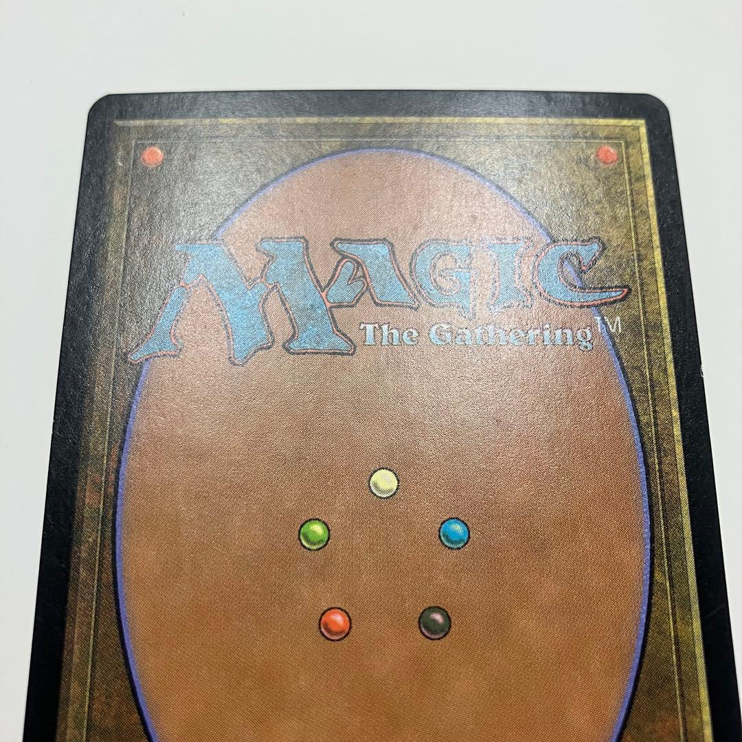 MTG 低木林地 イタリア語版 1枚 foil 7ED