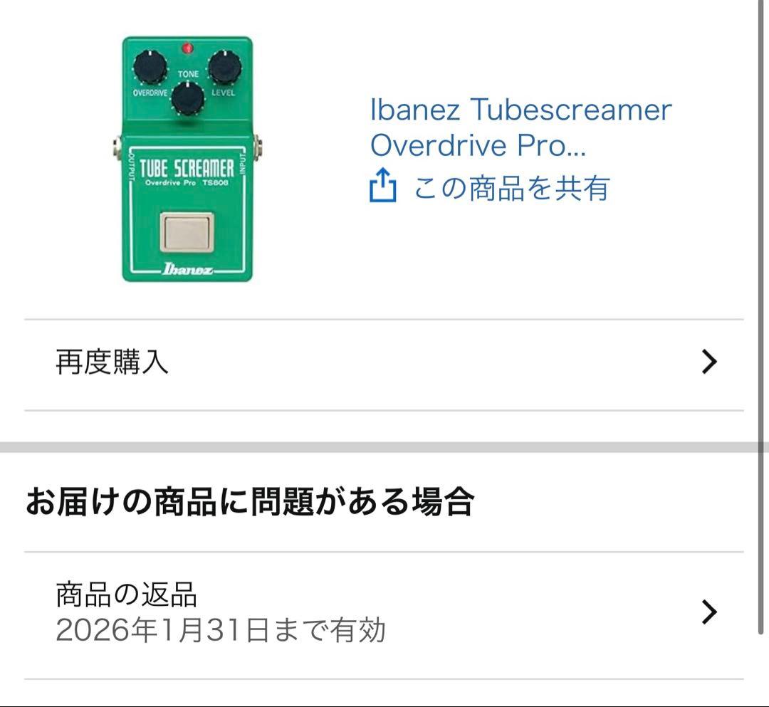 ギター IBANEZ TS808