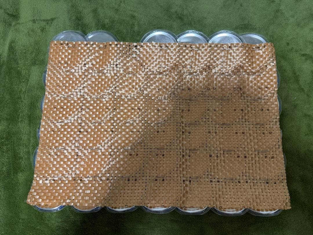 入間銃兎 EW02 缶バッジ セット (痛バ用)