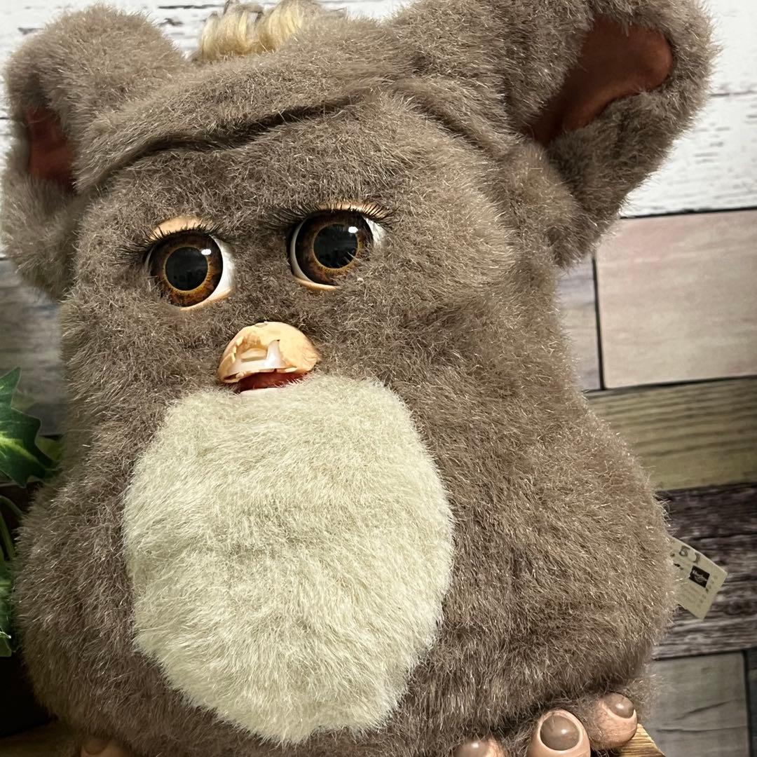 ファービー2　コーヒー　茶目　英語版　furby2 #5