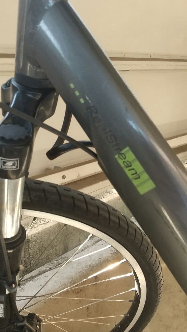 ブリジストン電動アシスト自転車