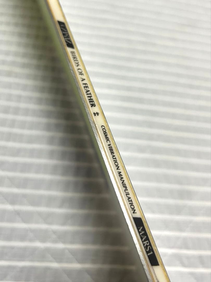 スノーボード　CAPiTA Birds of a feather