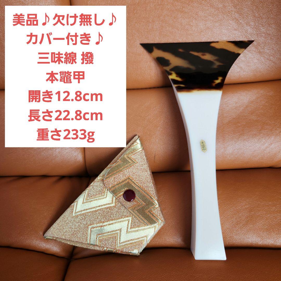 【美品♪欠け無し♪】三味線 撥 本鼈甲 開き12.8cm
