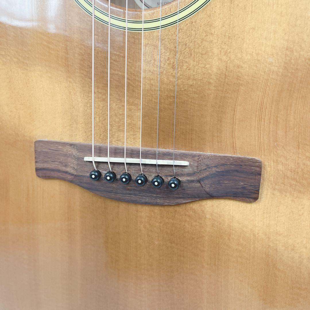 fender フェンダー GDC-200SCE