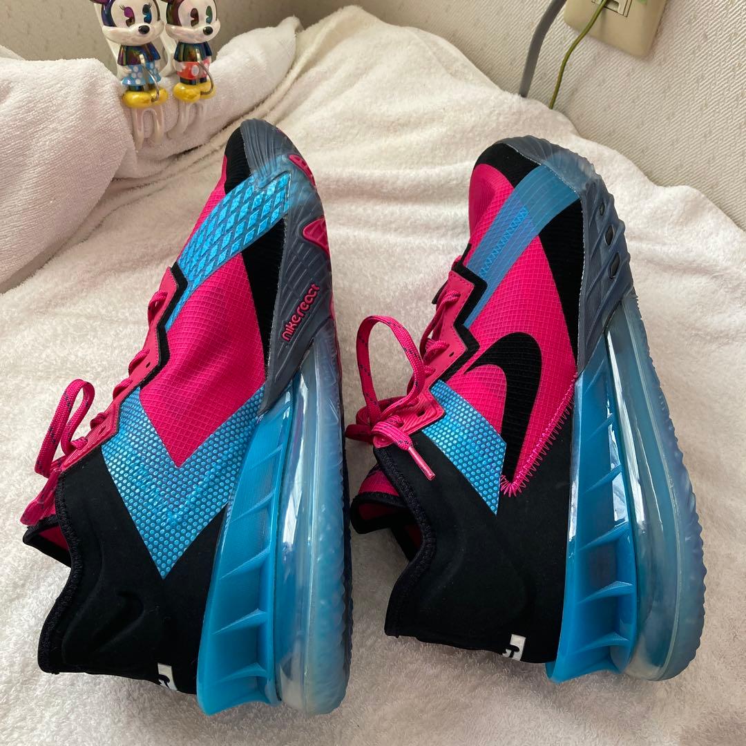 Nikeナイキスニーカー 【CV7562-600】 サイズ (31cm)