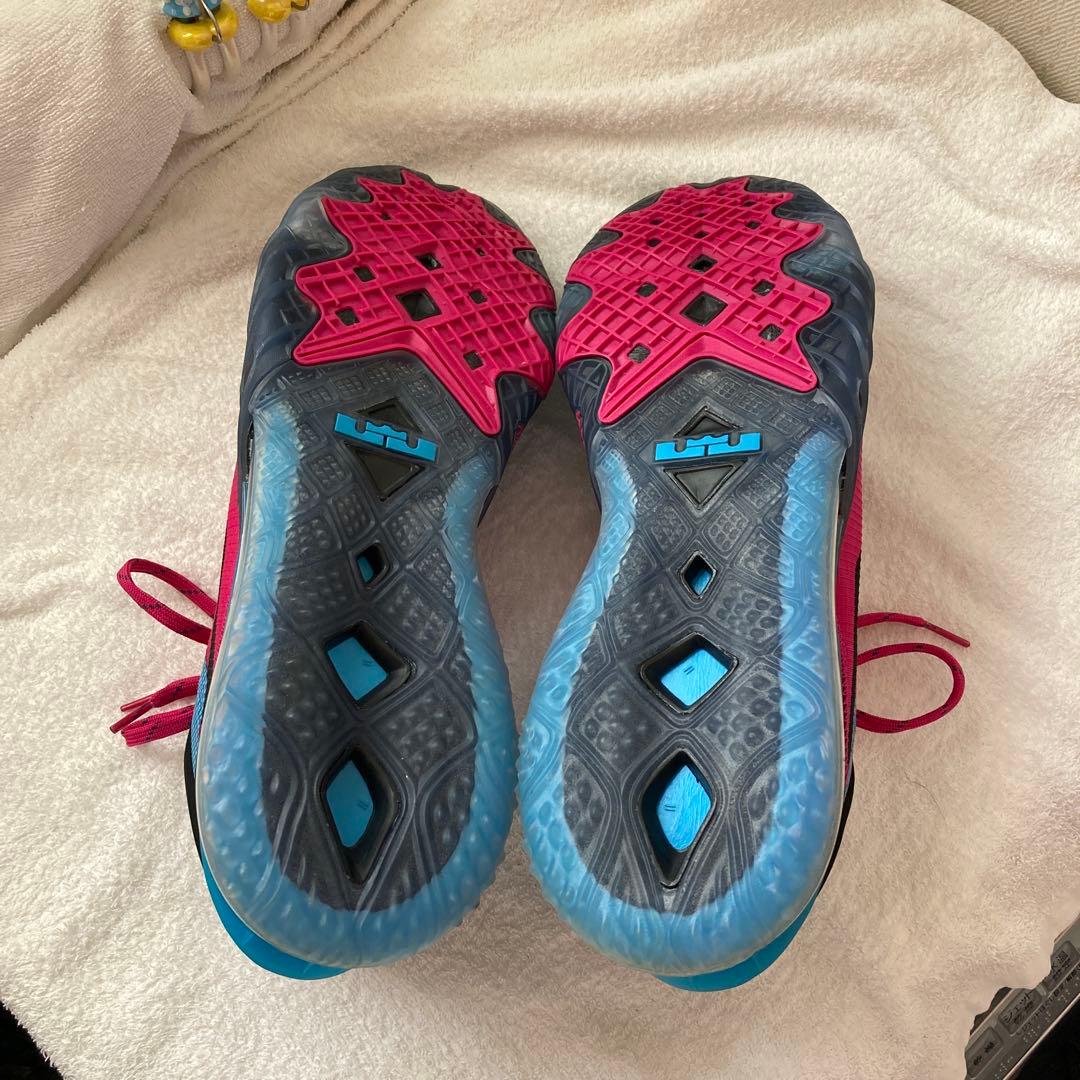 Nikeナイキスニーカー 【CV7562-600】 サイズ (31cm)