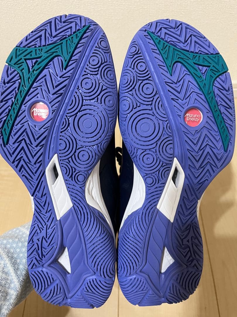 Mizuno ミズノ　ウエーブファング2 バドミントンシューズ