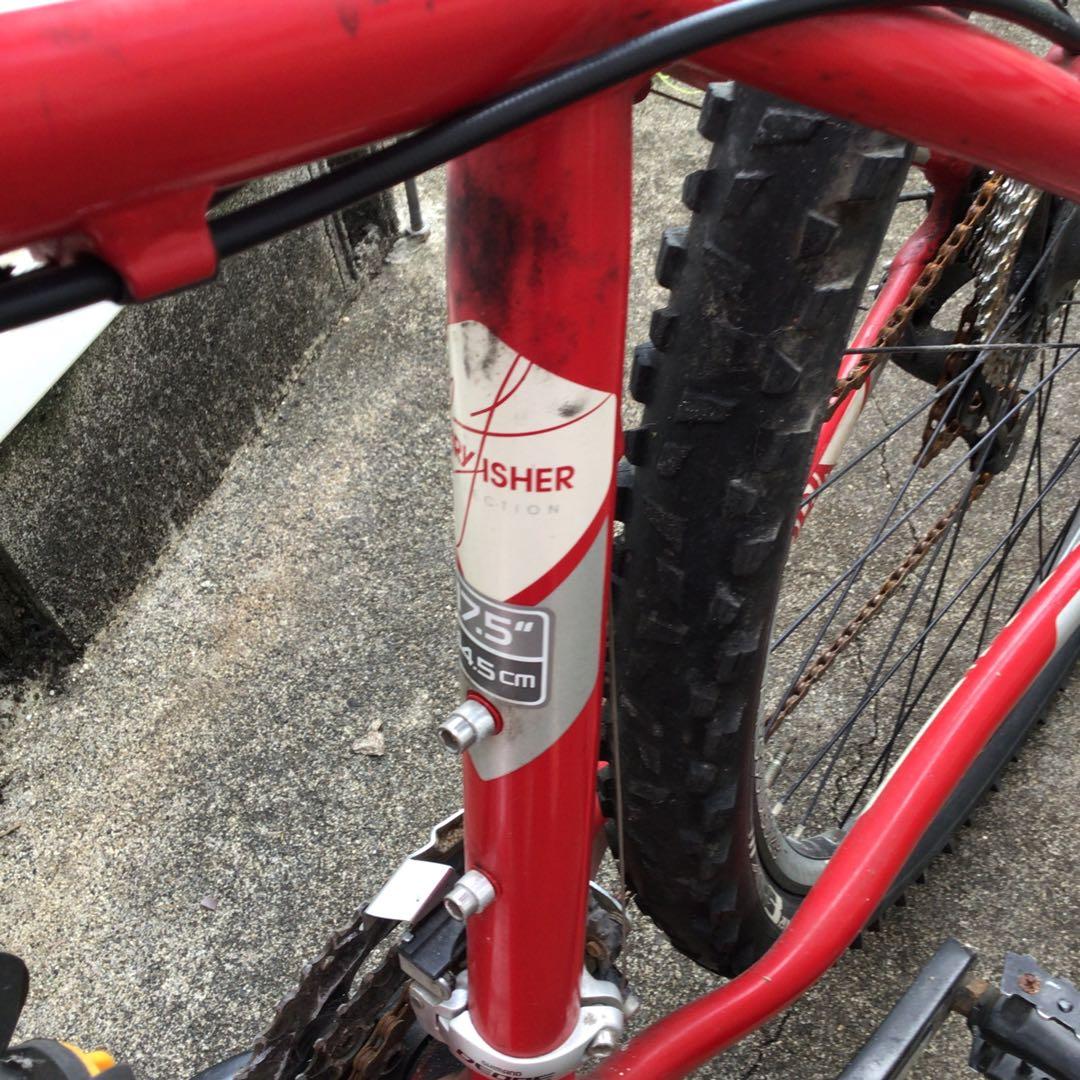 自転車本体 TREK COBIA 2012