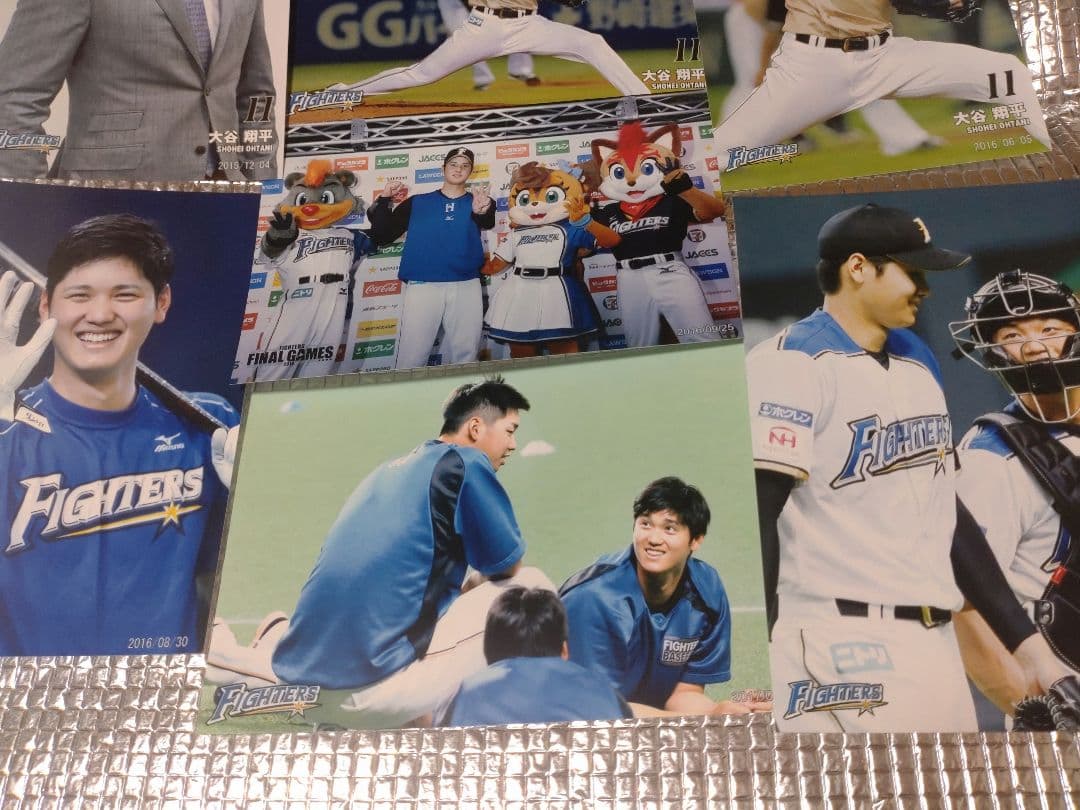 大谷翔平 ハイライトフォト 球団公式写真 ⑤ 10枚セット 日本ハム