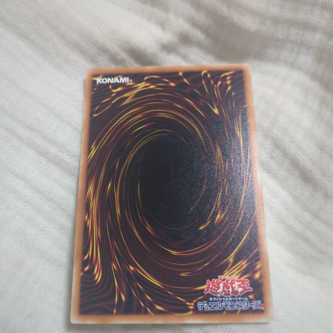 み*こ様 遊戯王ブラックデーモンズドラゴンレリーフ