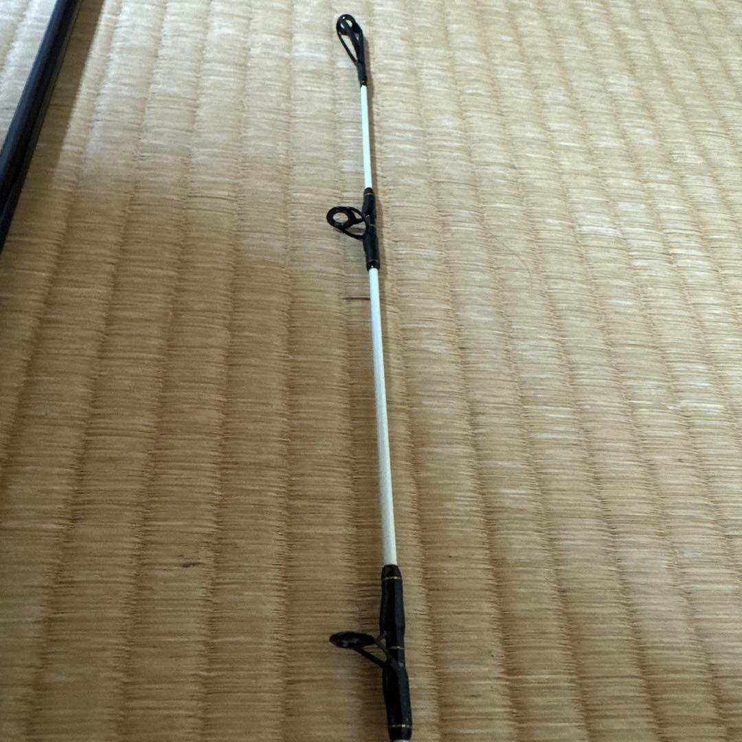 [DAIWA] BIG X 石鯛 MH 544 ‼︎