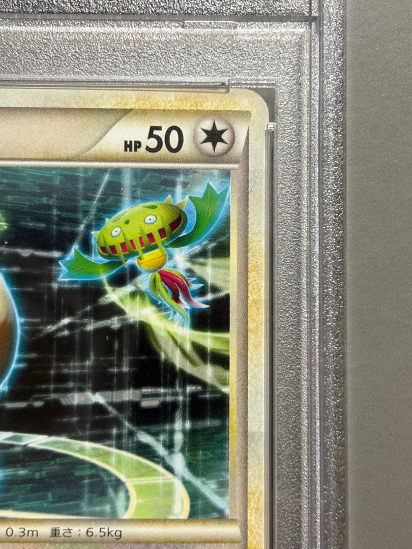 【PSA10】イーブイ　超希少 世界に99枚