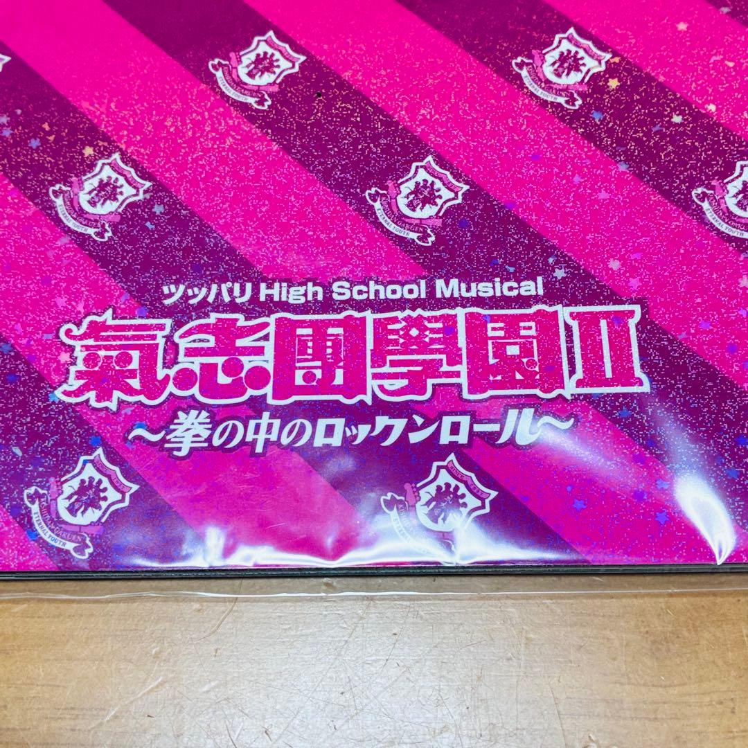 新品未開封氣志團 ツアーパンフレット 2冊2015/2016 希少デッドストック