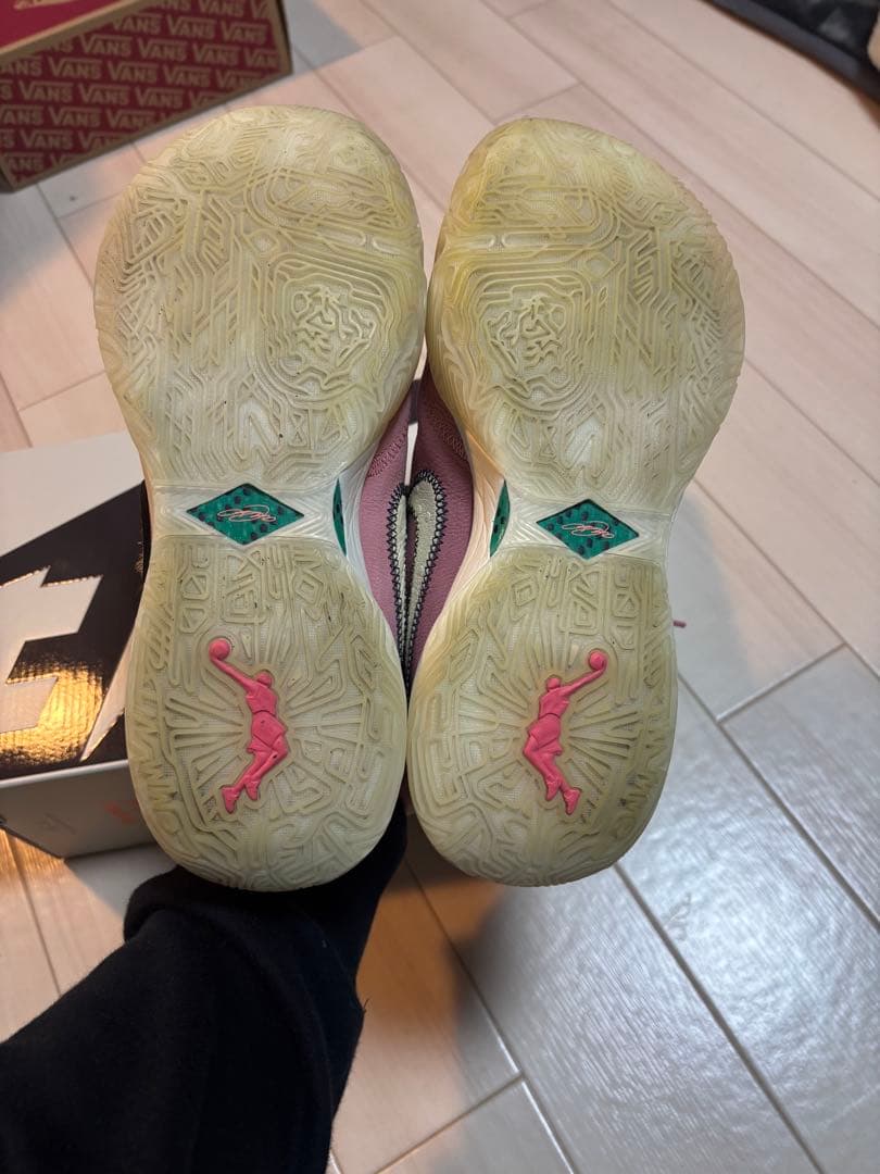 レブロン20 lebron20 バスケットボール 26センチ