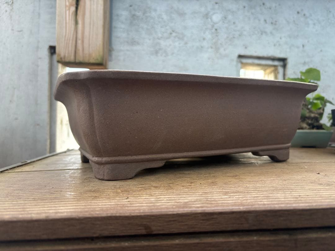 中野行山　鉢　名匠物故作家