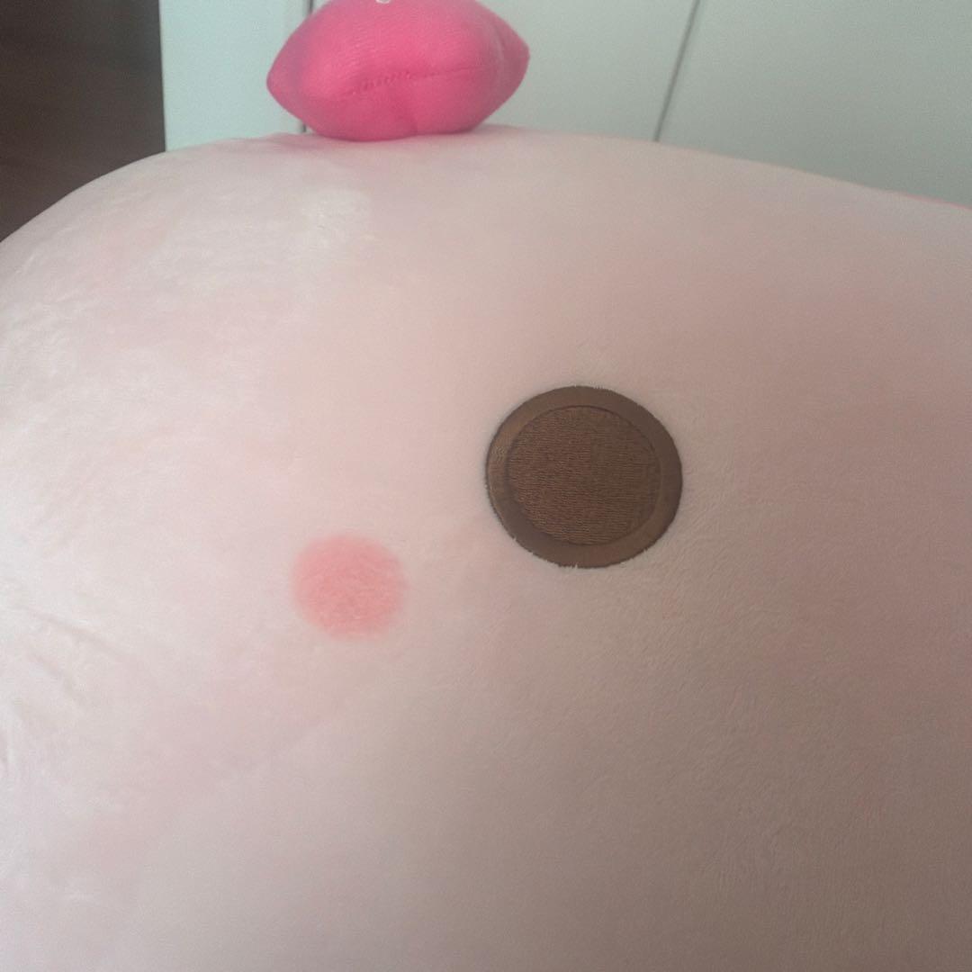 はんなり豆腐 BIGクッション ウメ