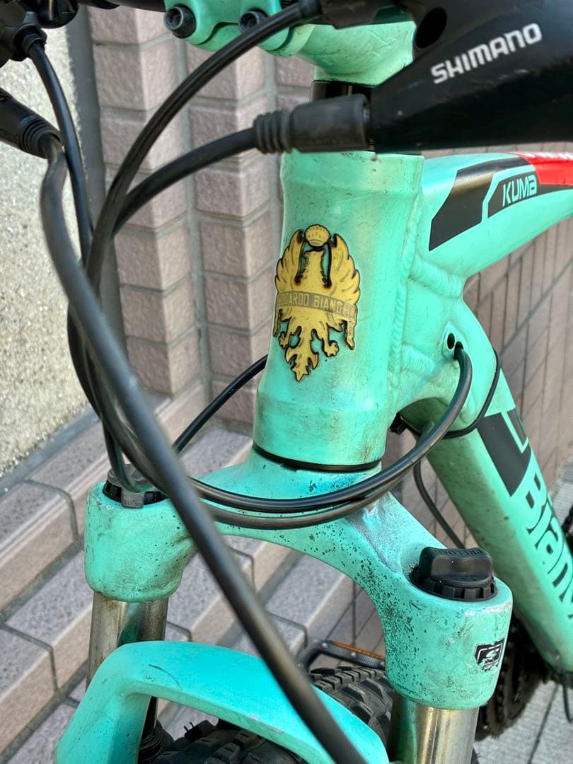 Bianchi KUMAビアンキ クマ　マウンテンバイク48cm 東京