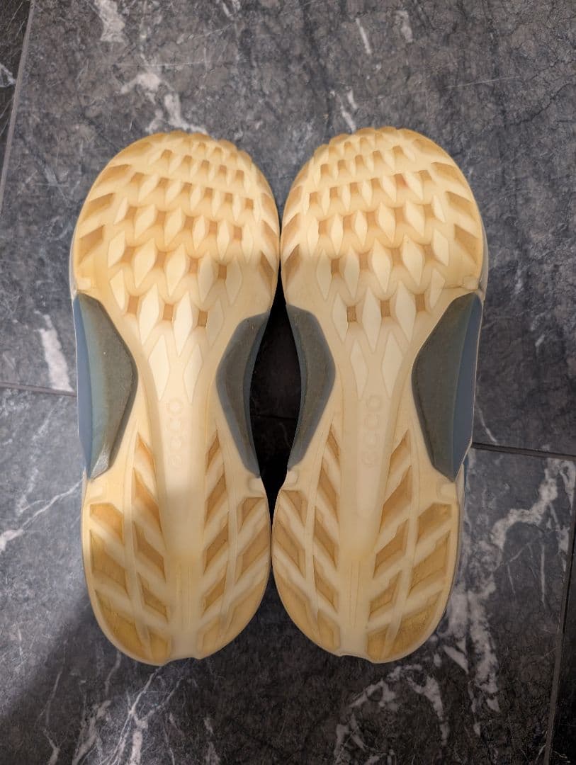ecco エコー バイオムH4 BOA 26.5cm