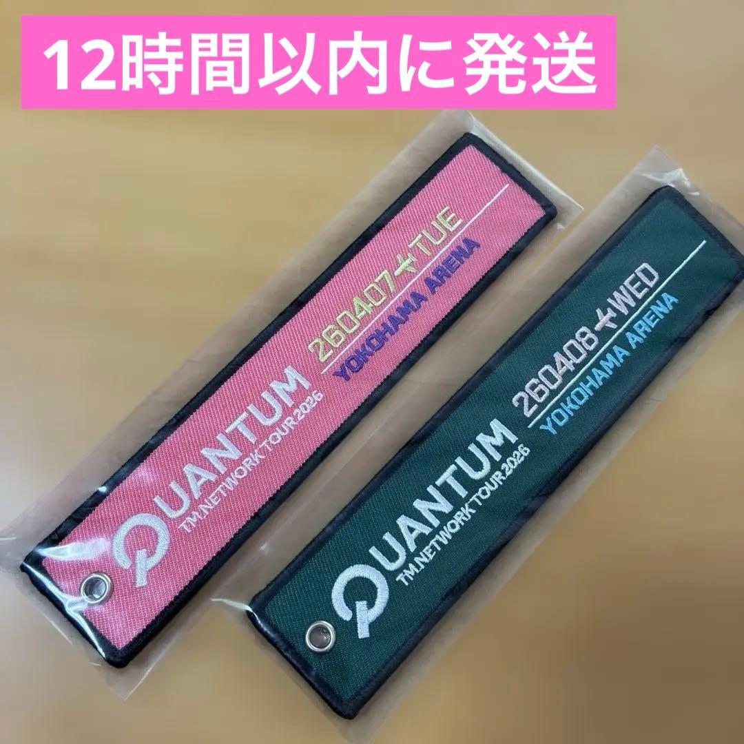 TM NETWORK バンド&フライトタグ4/7・8 GET WILDの日