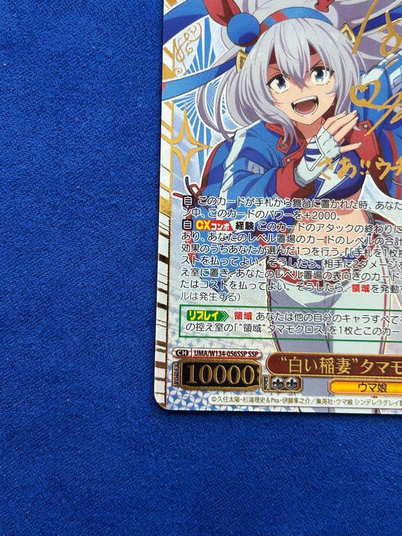 白い稲妻タマモクロス　SSP