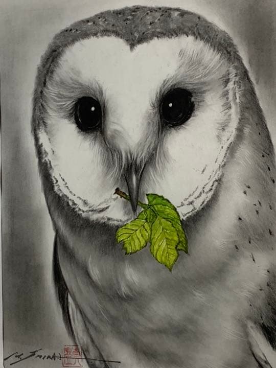 画家 白井真澄 木炭肉筆デッサン画  原画 真筆保証品！額入owl NO.25