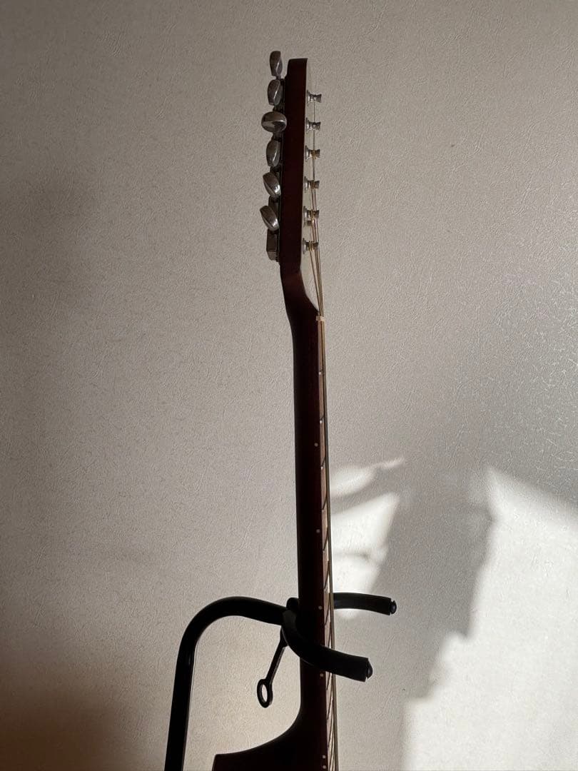 Fender エレアコ シャンパンカラー うっち